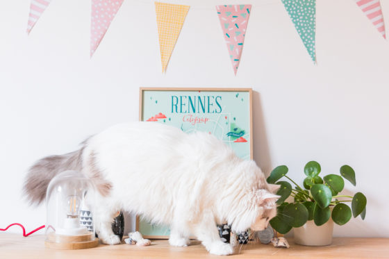 Carte illustrée Rennes A3